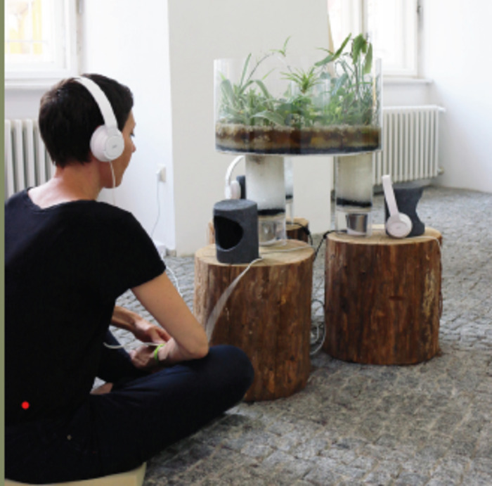 Symbiotes Symphonie - Karine Bonneval