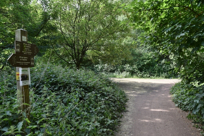 Suivez le panneau : circuit de randonnée du Tour d'Horloge au square Rémy Callot de Carvin.