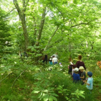 Stage nature & escalade