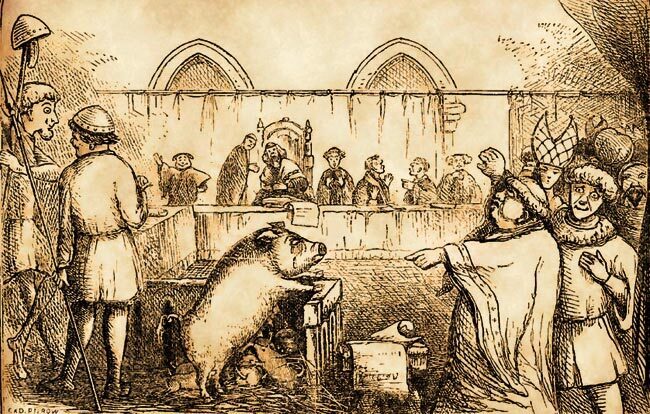 Les procès des animaux à travers l’histoire