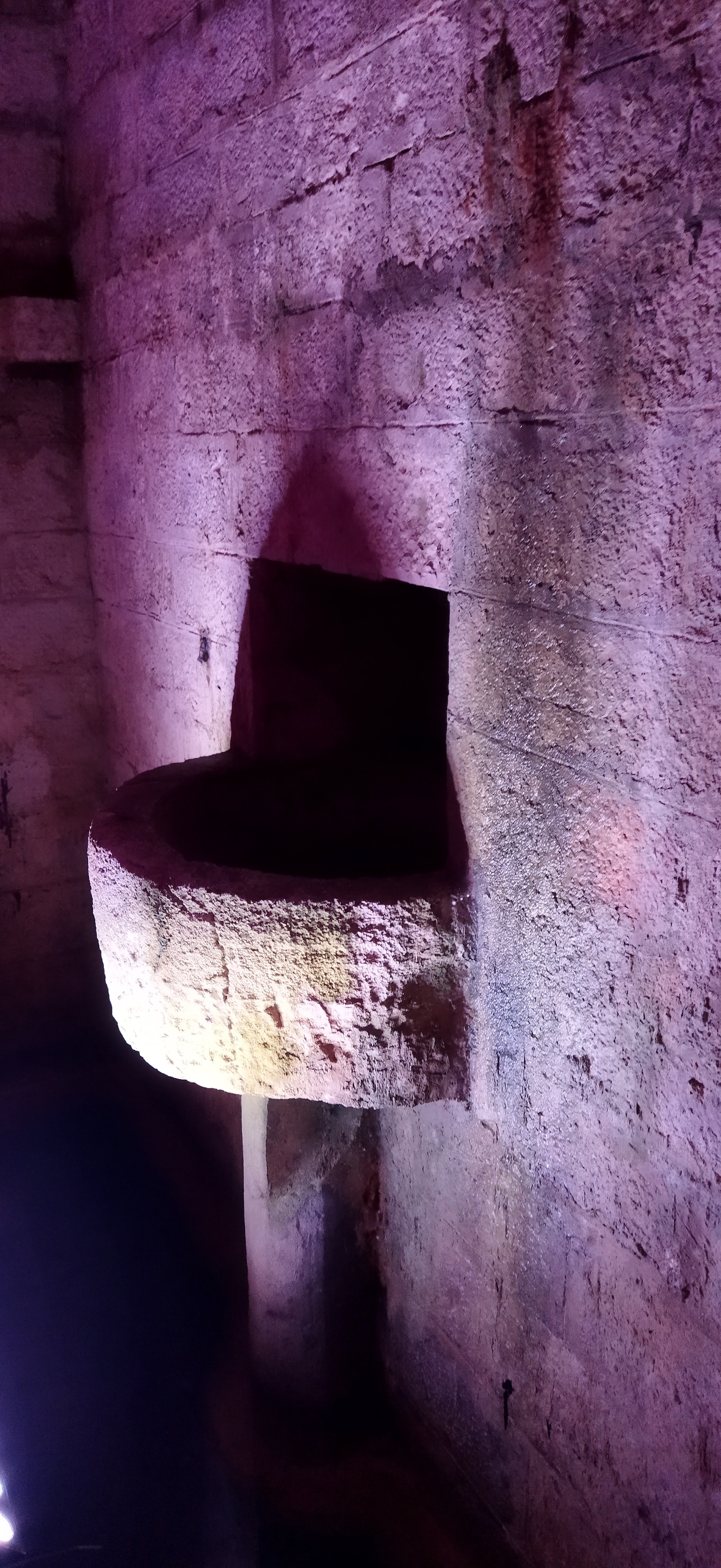 Visite commentée de la crypte du Bayaà et des collections archéologiques liées au passé saunier de Salies-de-Béarn