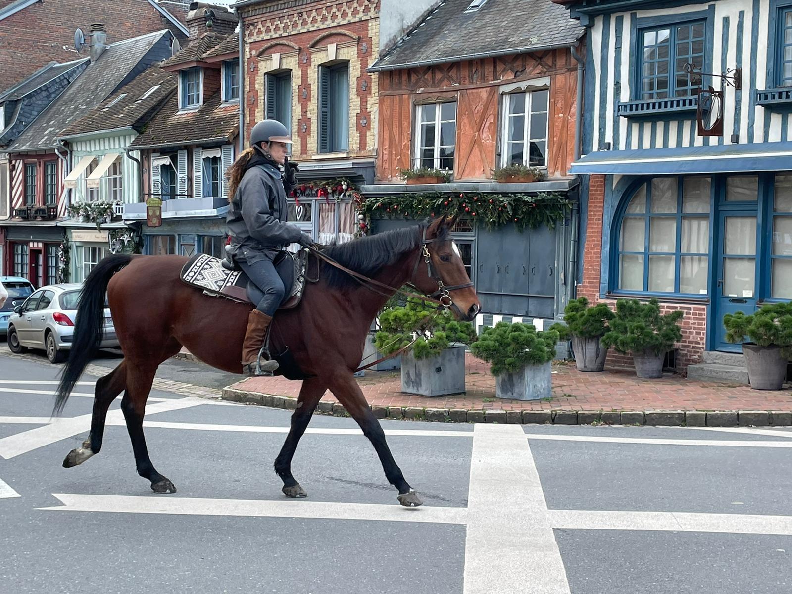 Visite De Beaumont en Auge à Cheval