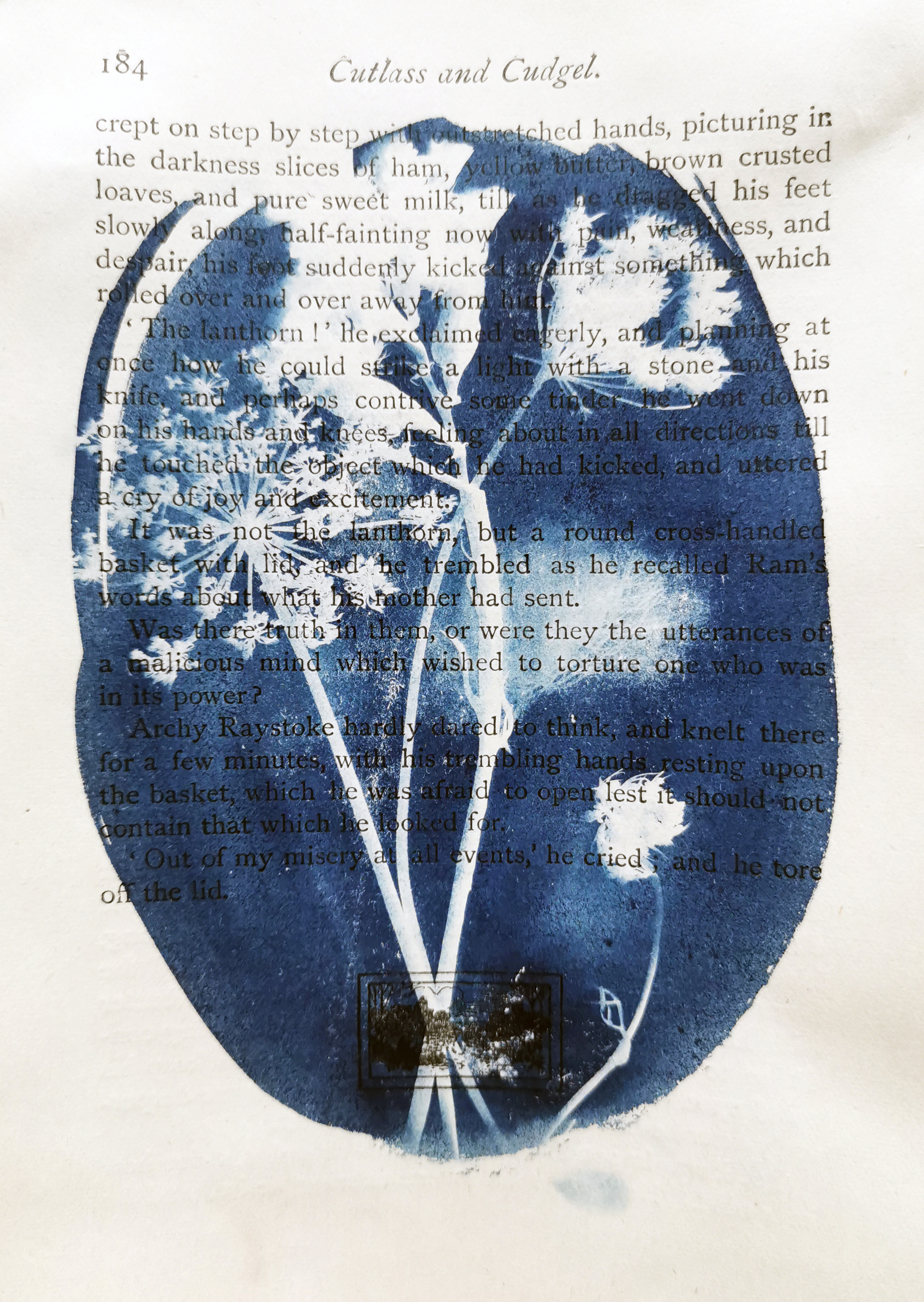 Atelier d'initiation au cyanotype