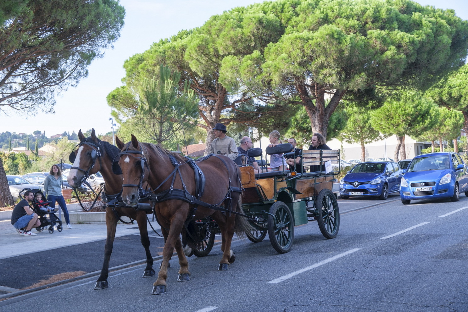 Tour en calèches autour du marché