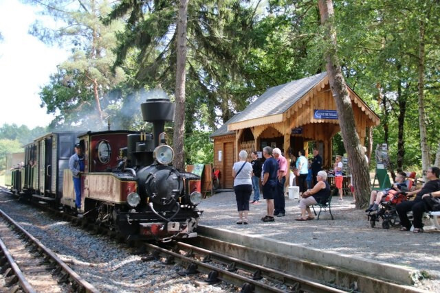 Parcours en train à vapeur avec visite du dépôt (matériels roulants et exposition de modélisme)