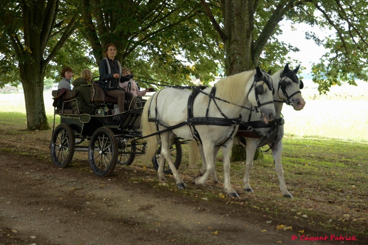 Rallye équestre