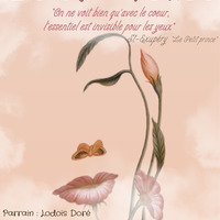 Festival Cont’O Folies