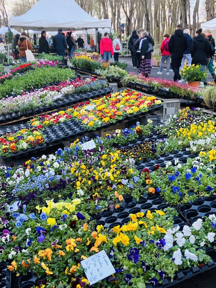 Salon du Jardin de Senlis Du 29 au 30 mars 2025