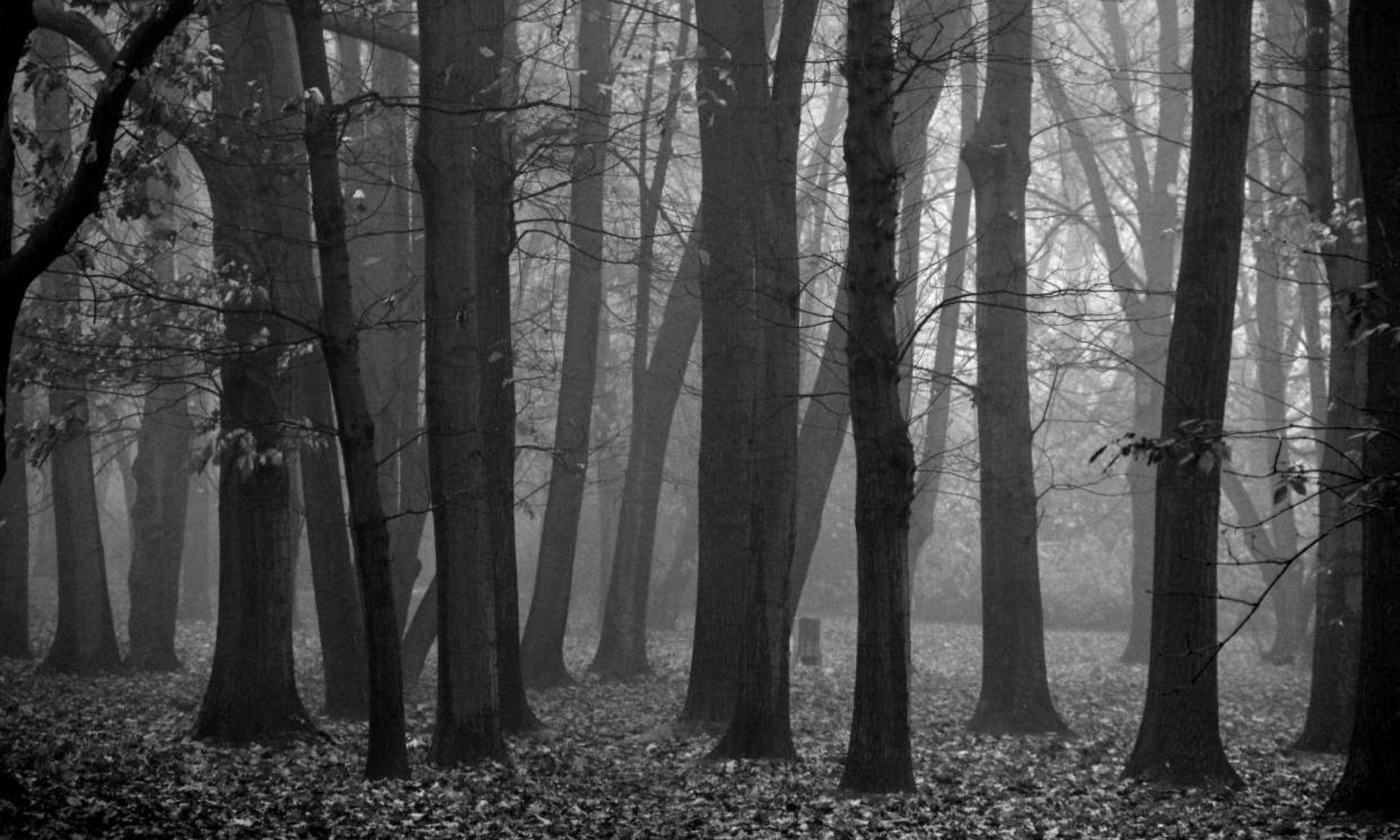 Le Petit Chaperon rouge
