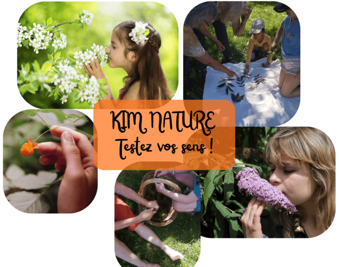 Défis nature et jeux de kim sensoriels