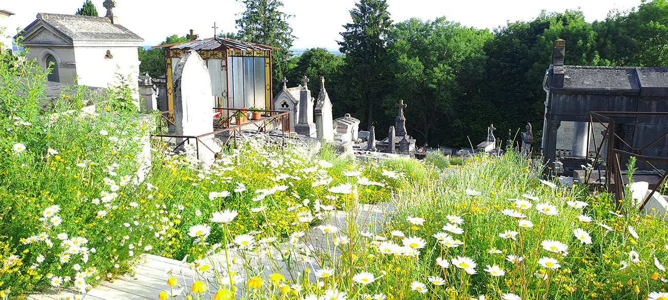 Visite guidée à Laon : Le cimetière Saint-Just