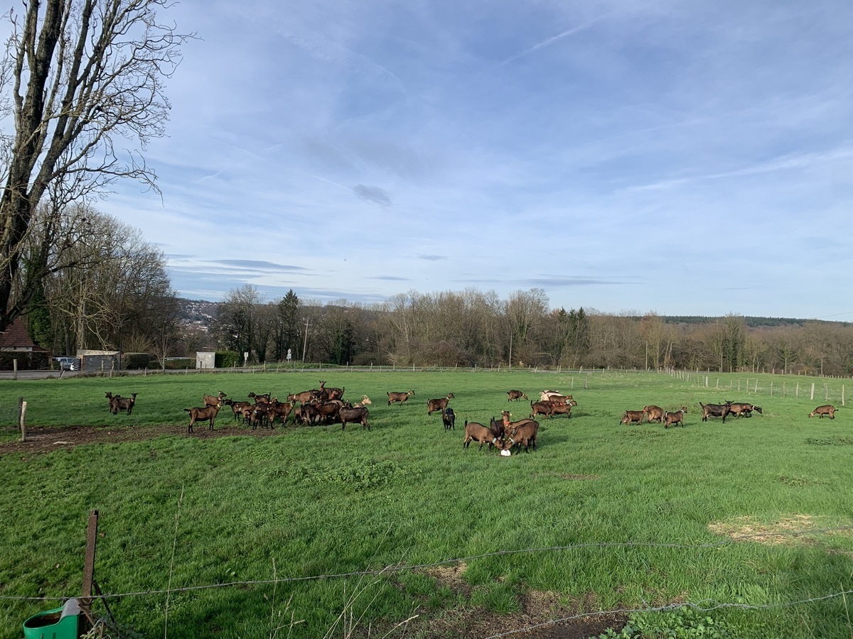 Rando 1/2 journée