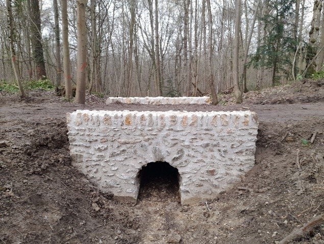 Les vestiges oubliés du bois de Chaville