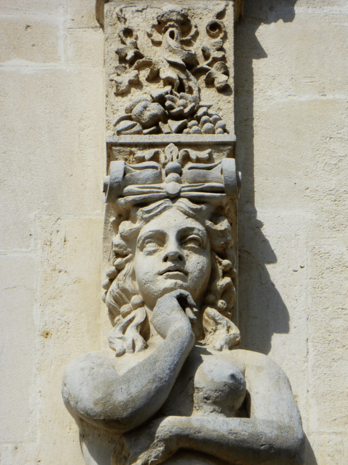 Rochefort : le nouvel écrin pour la biodiversité