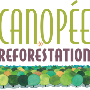 Canopée Reforestation