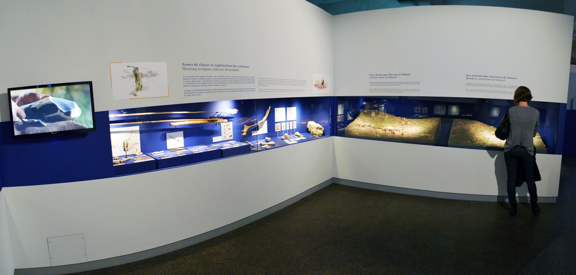 Visite libre du musée de la Préhistoire