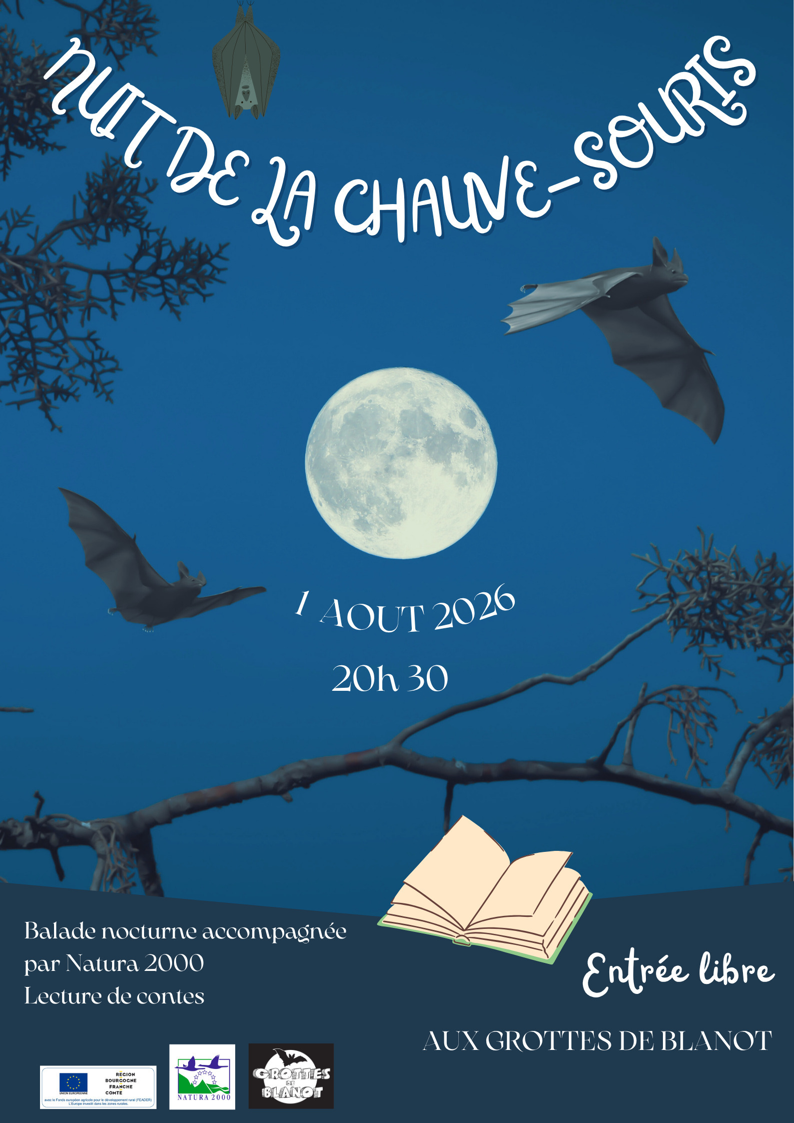 Nuit de la chauve-souris
