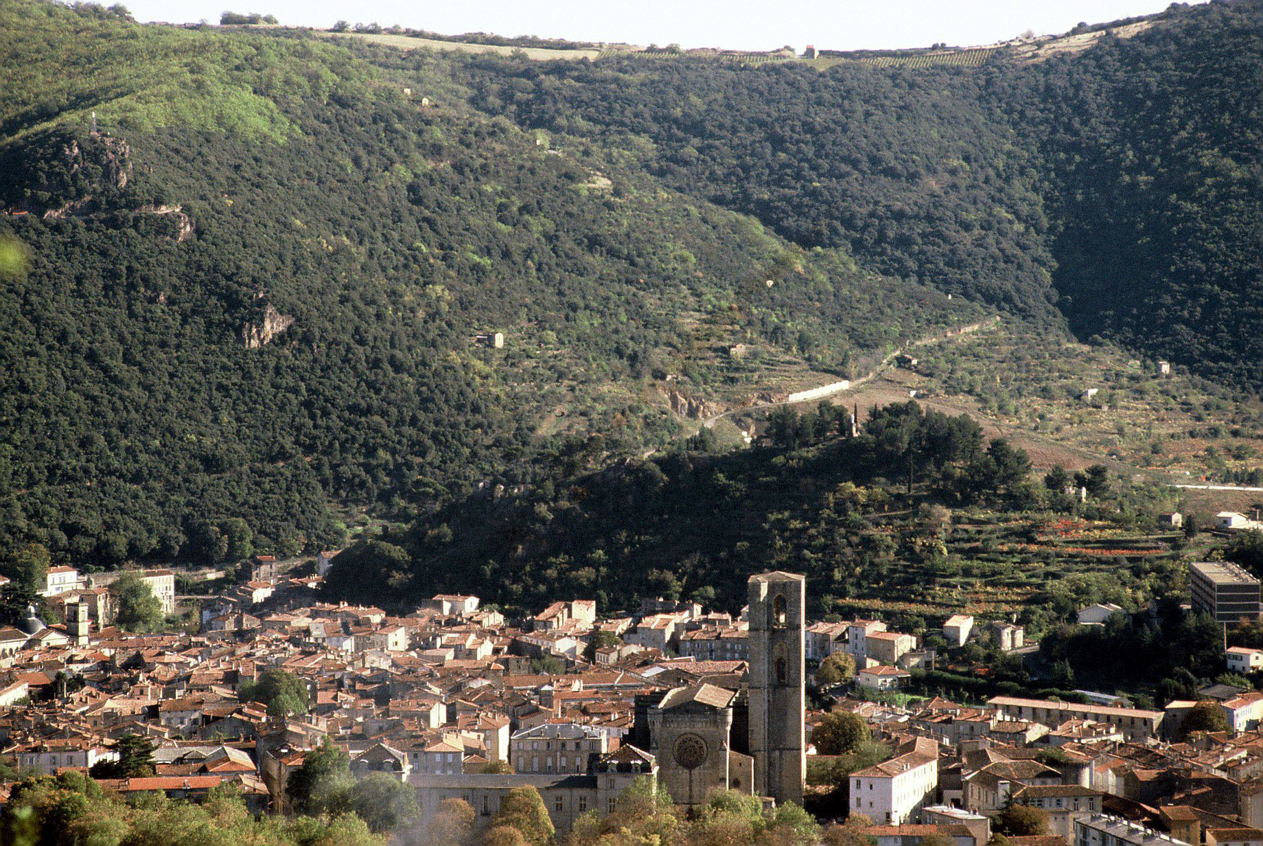 Les vestiges du Castellas de Montbrun