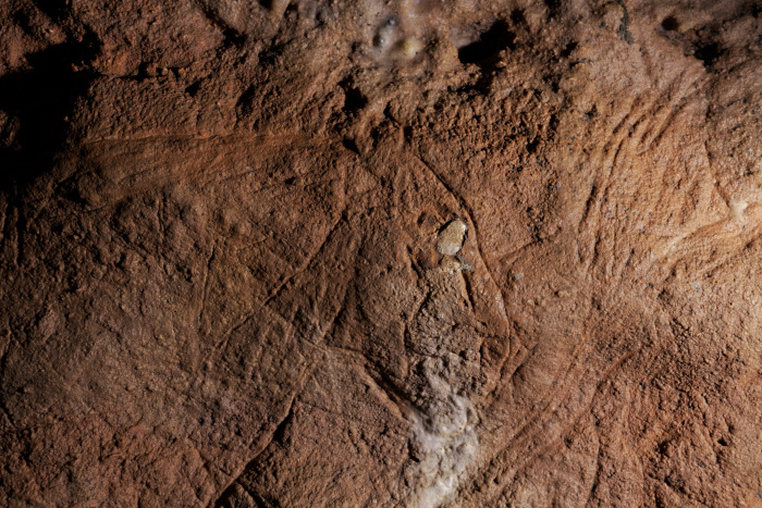 Visite commentée : découverte d'une grotte ornée du Paléolithique !