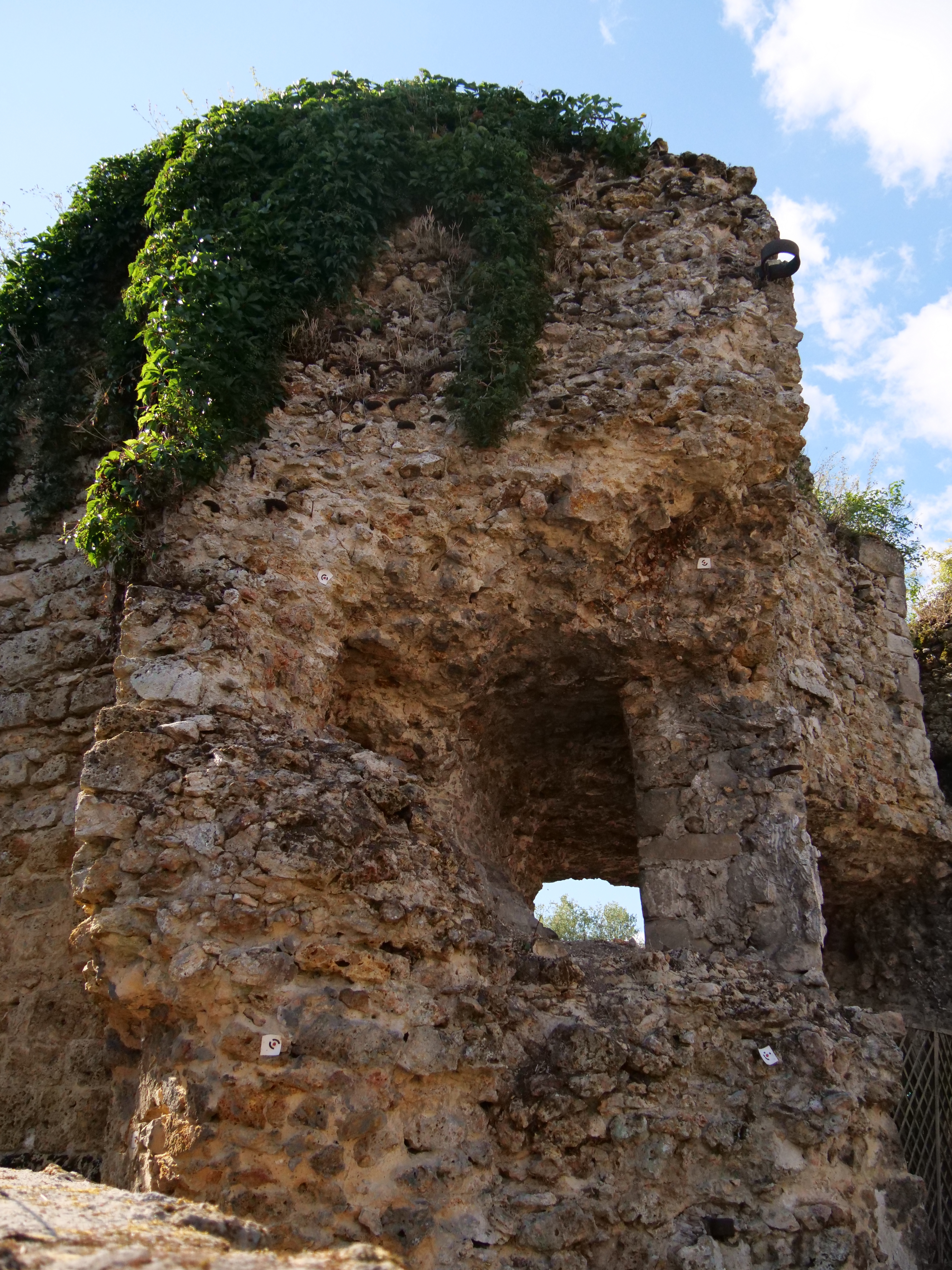 Visite guidée de Châteaufort, cité médiévale