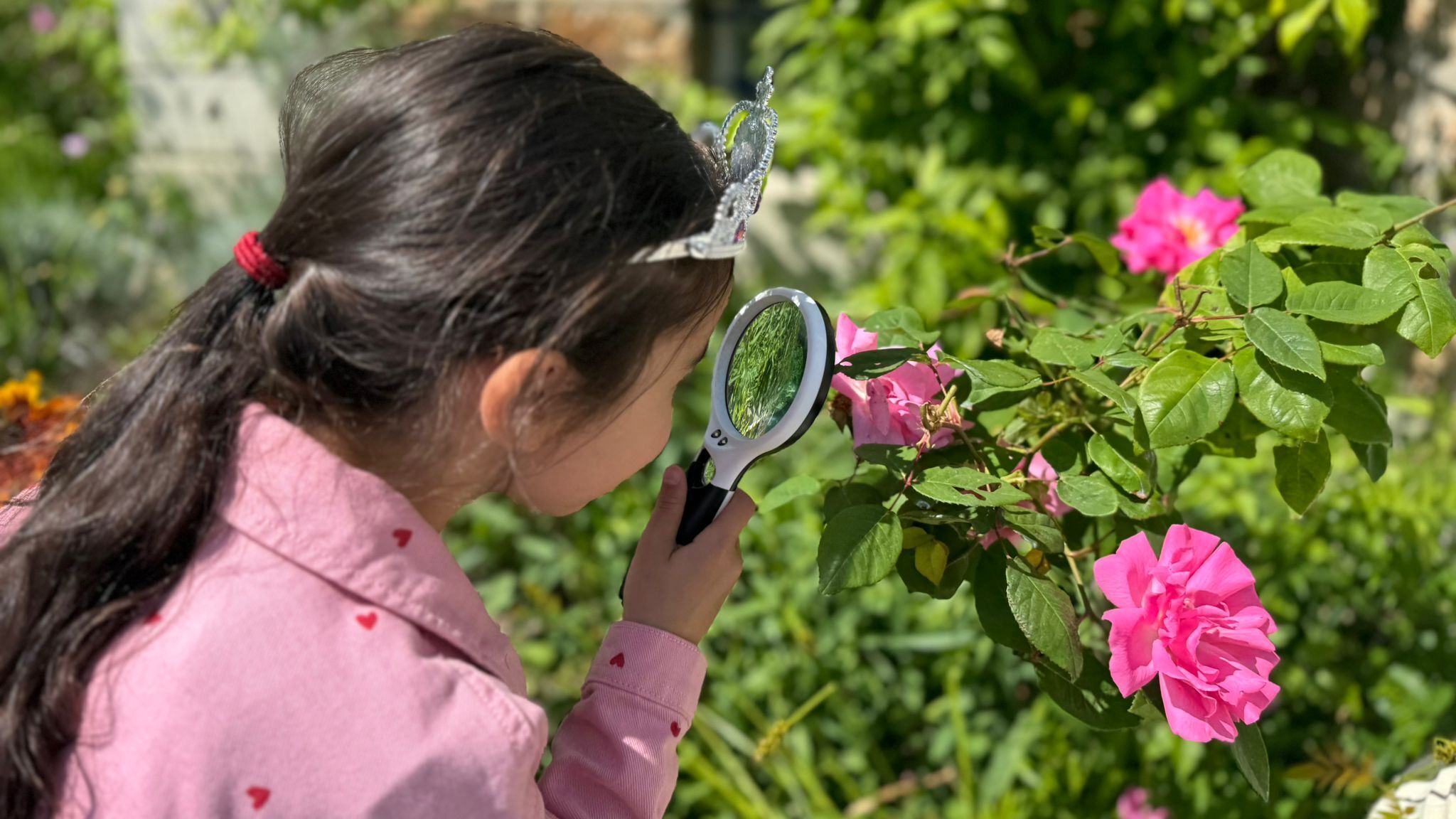 Jardin à la loupe