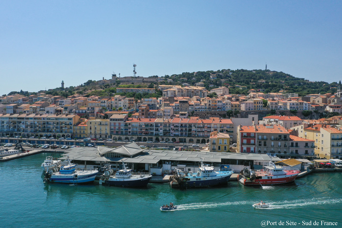 Visites guidées de la criée du port de Sète