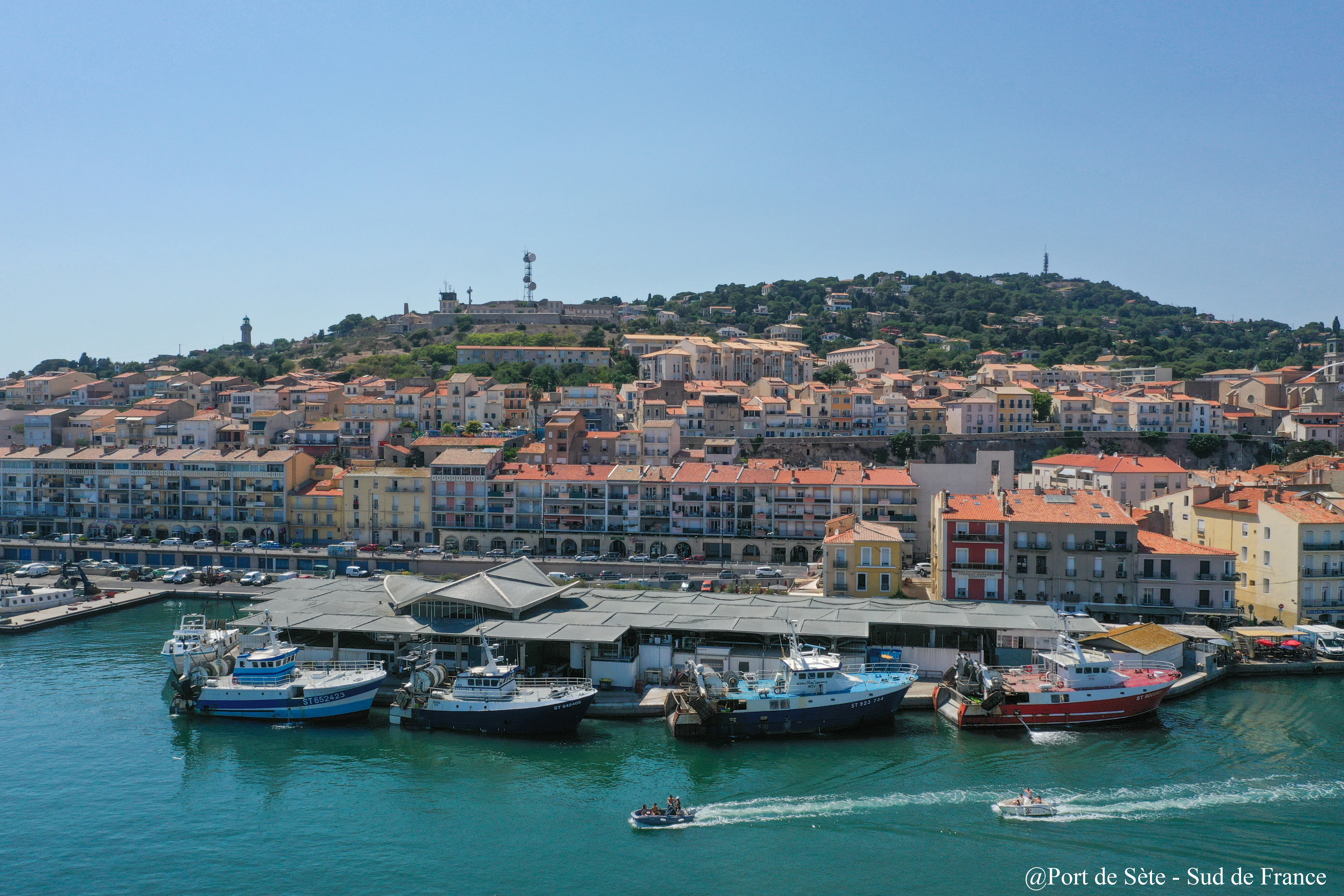 Visites guidées de la criée du port de Sète