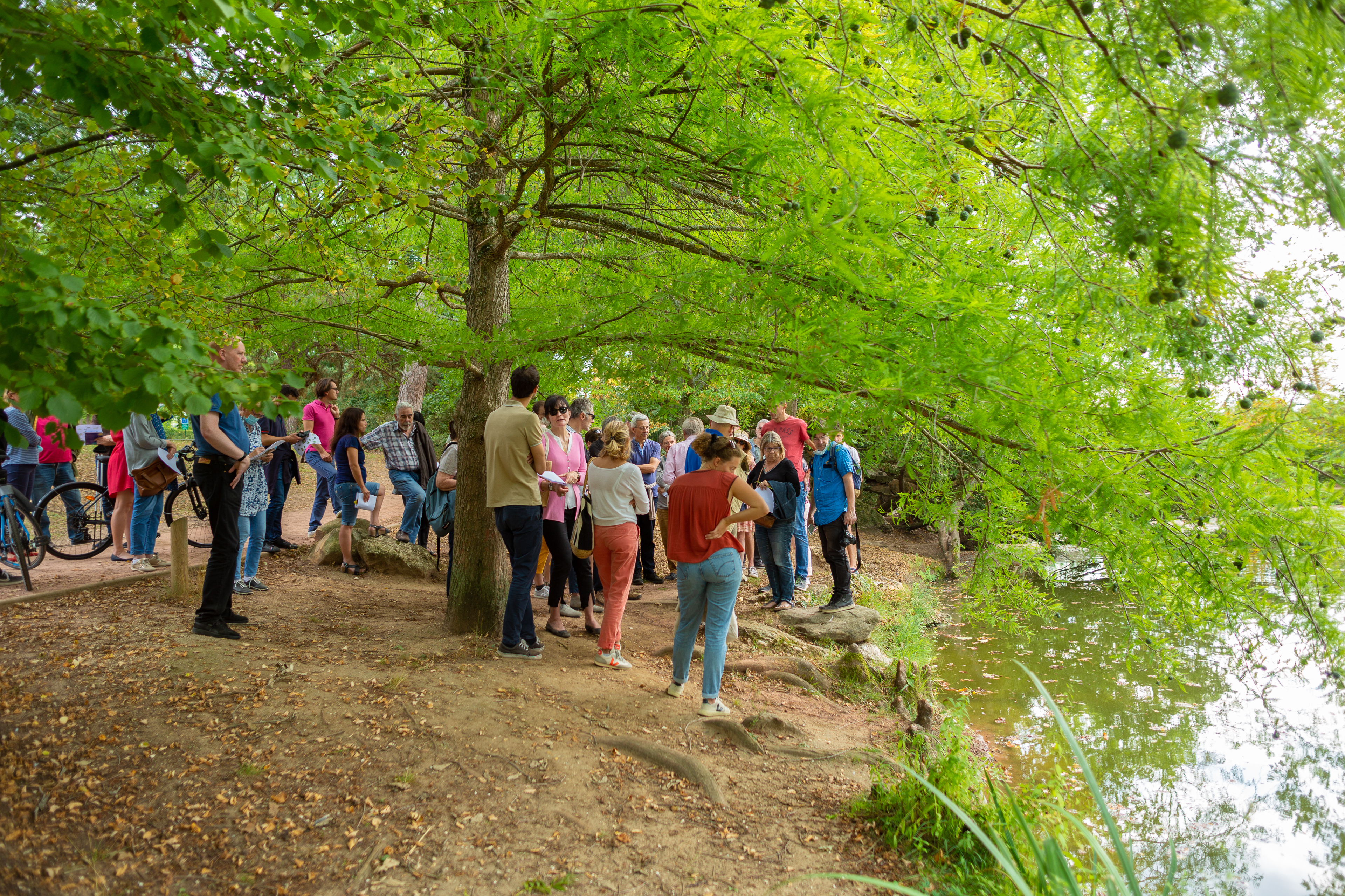 Visite de l'Arboretum des Ibis