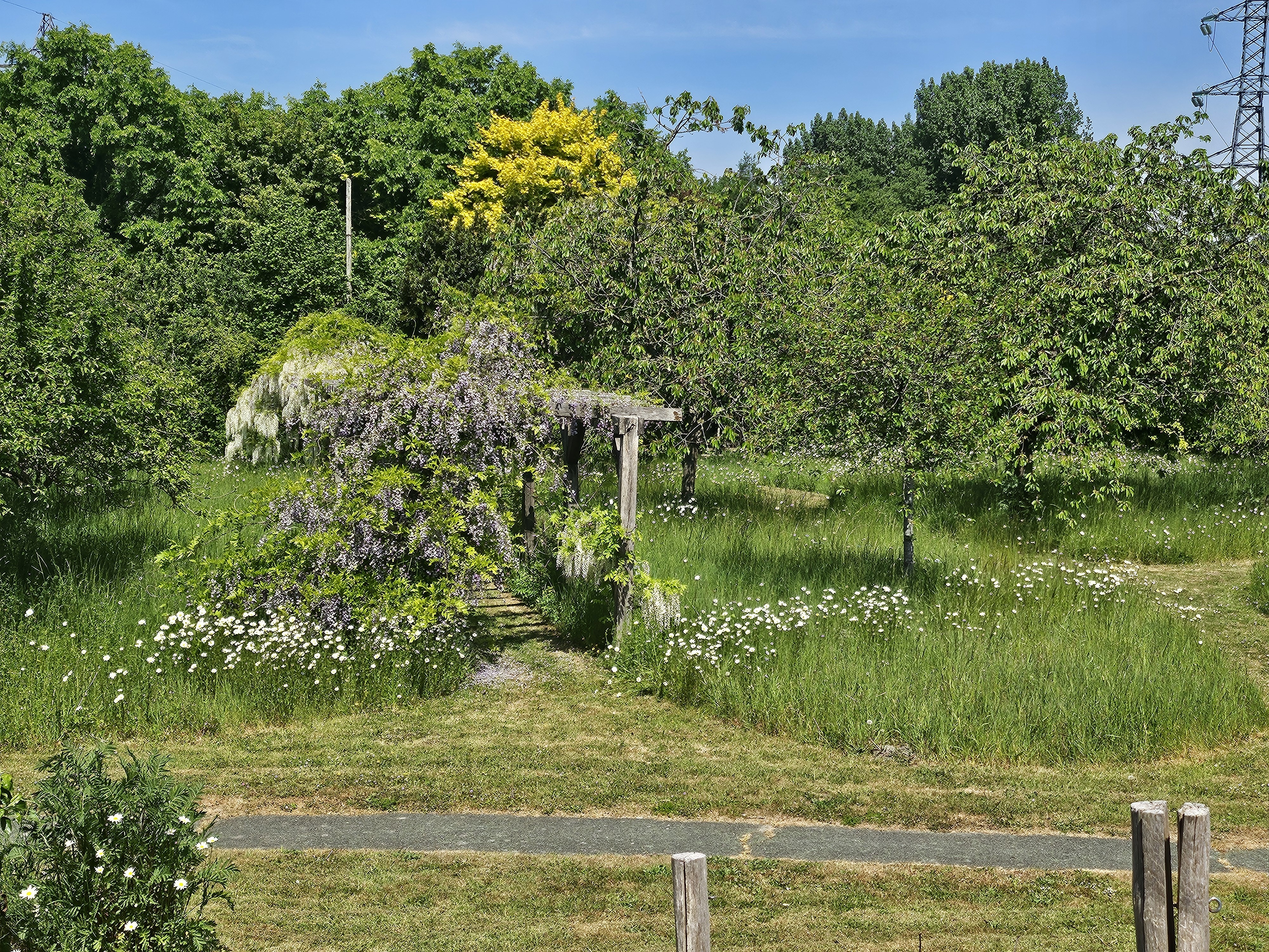 VISITE DU VERGER DU PUYTHOUCK