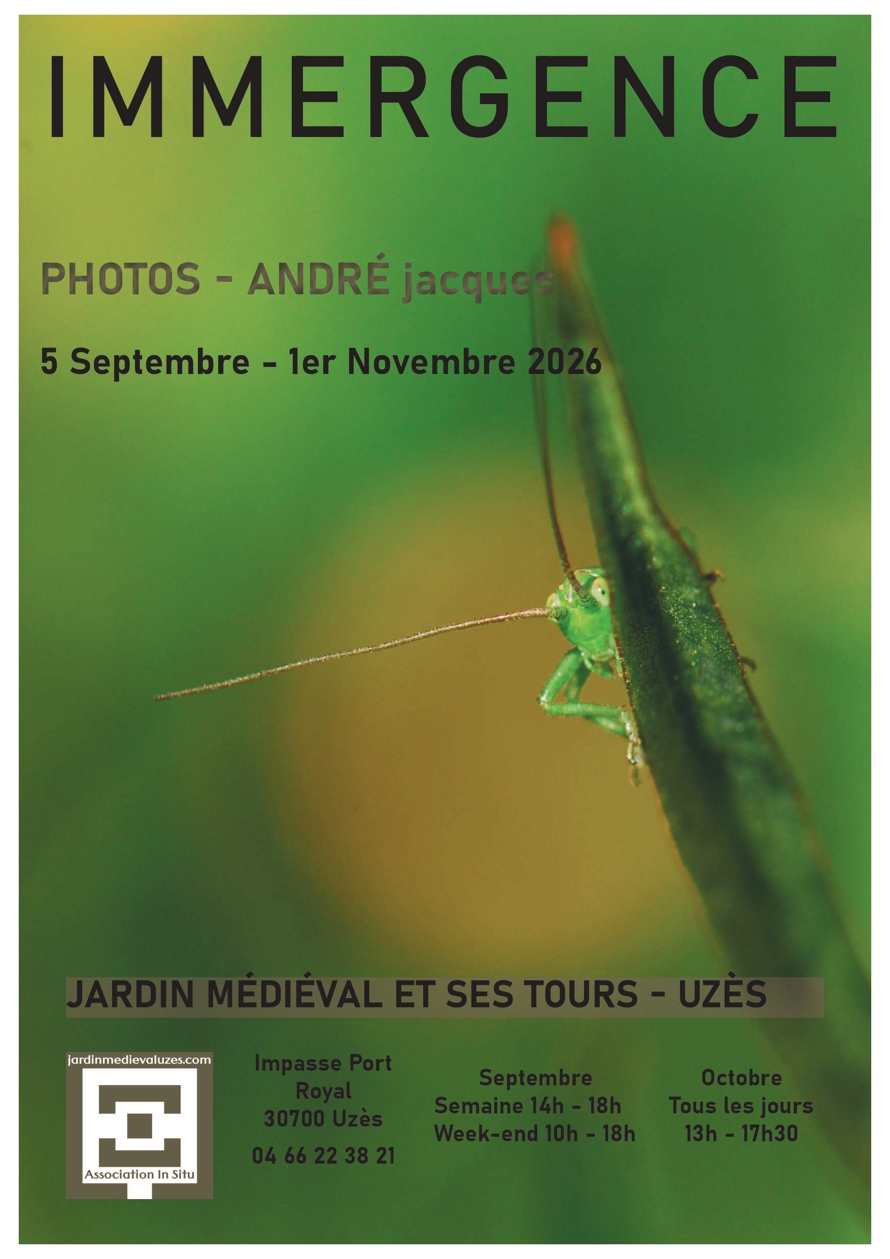 Exposition : Immergence