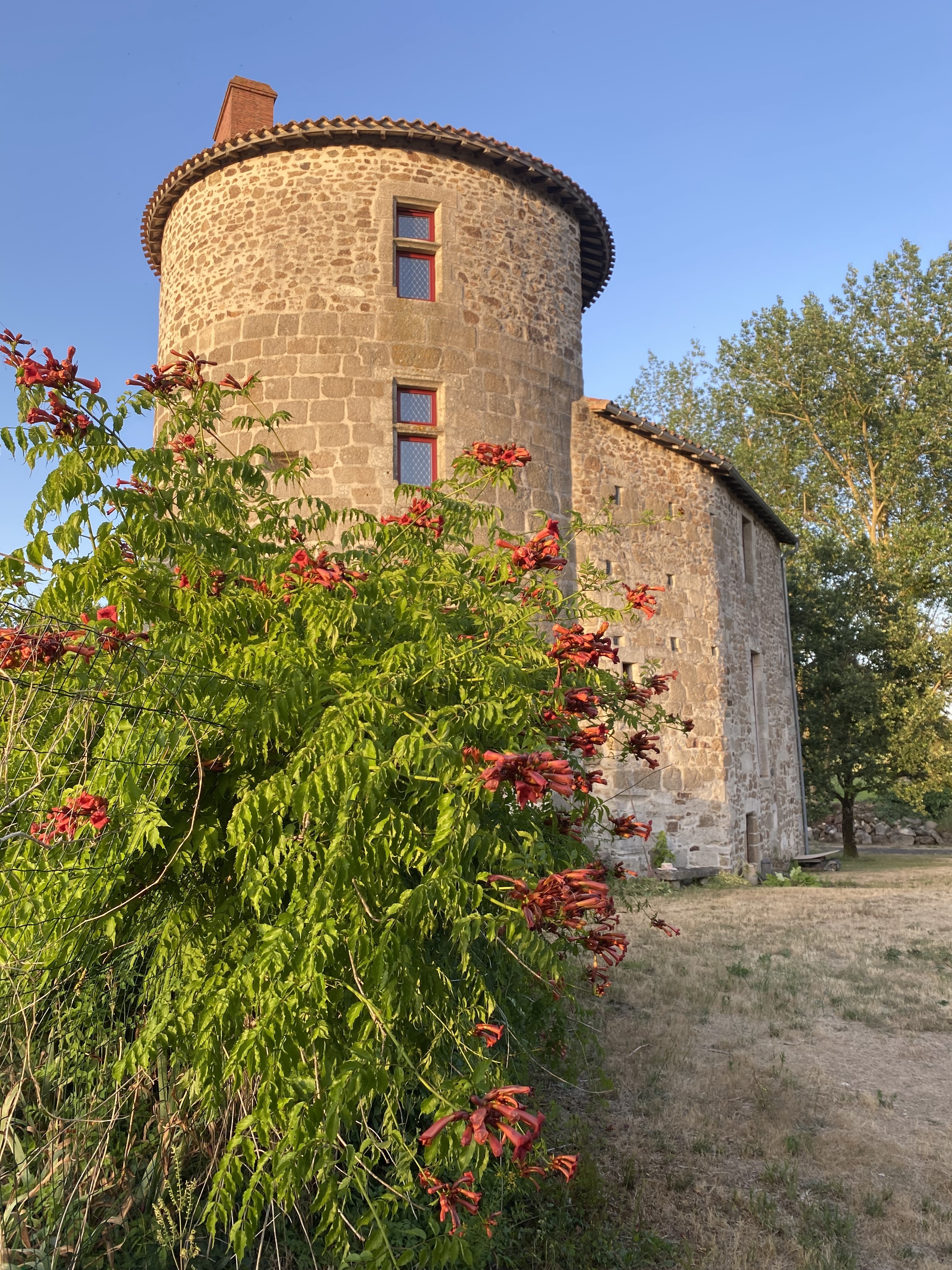 Visite commentée : "20 ans de restauration du vieux château"