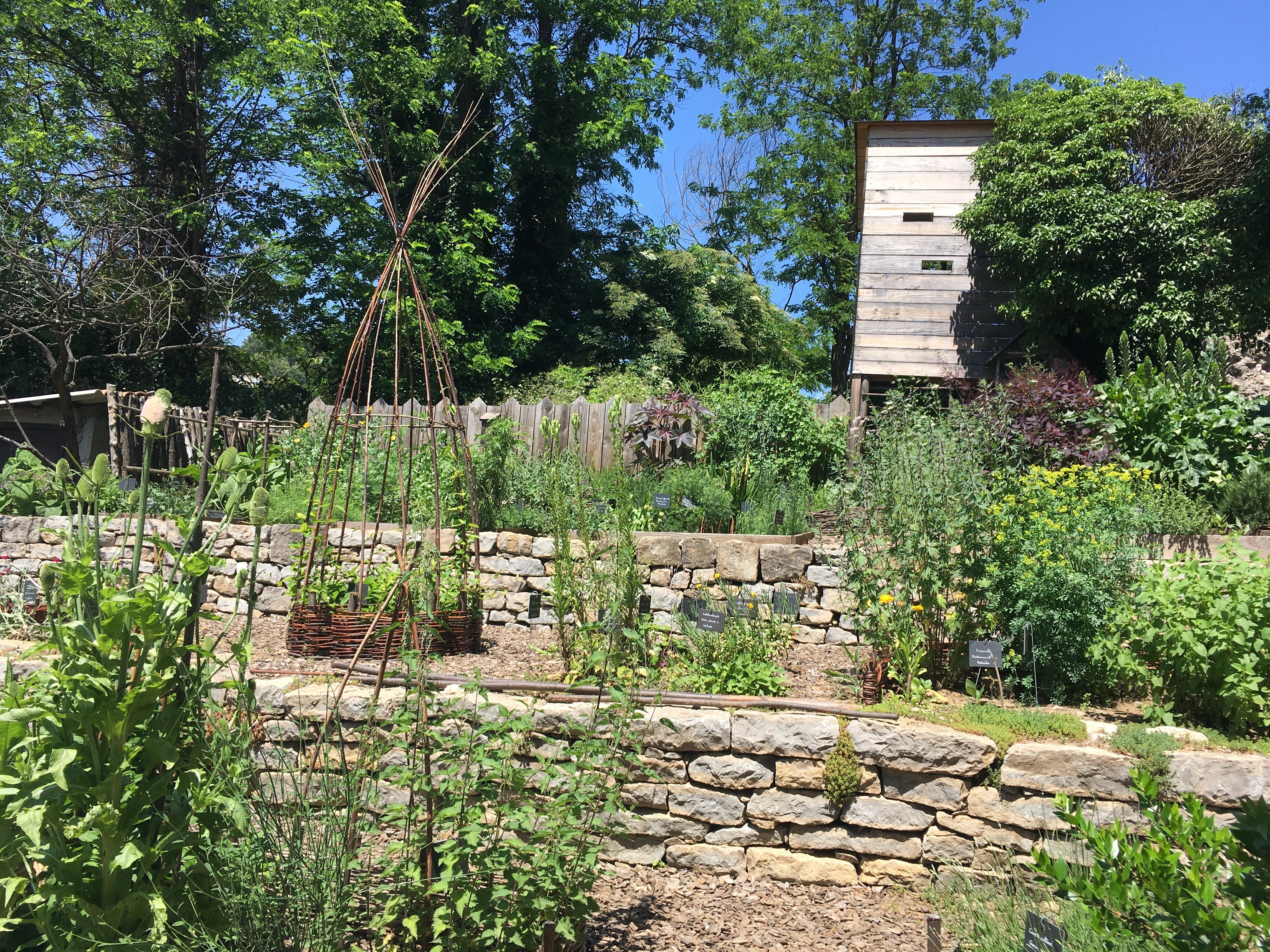 Visite guidée du jardin médiéval de l'abbaye de Cendras