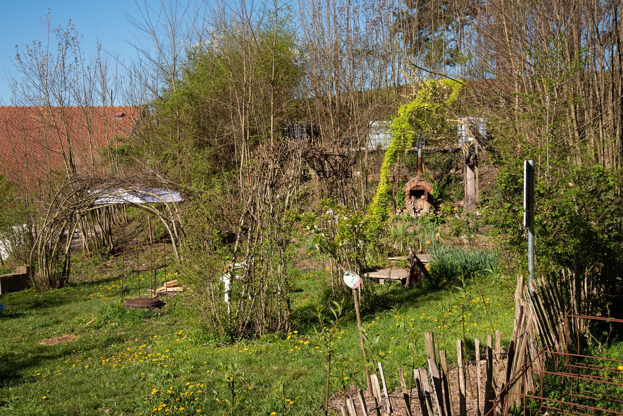 Visite commentée des jardins de l'école d'art Gérard Jacot de Belfort
