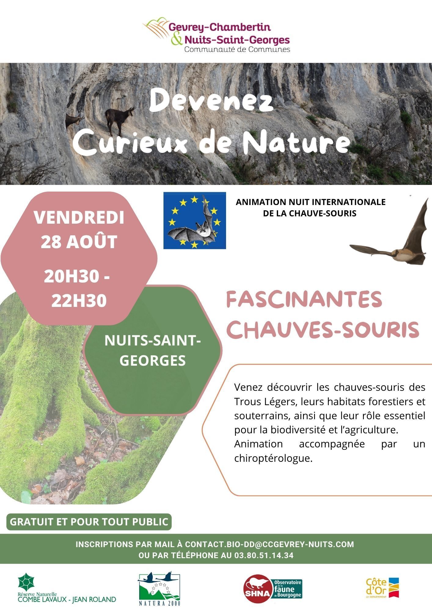 Fascinantes Chauves-souris