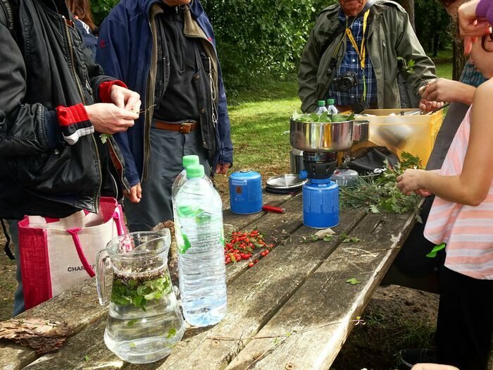 Sortie coorganisée par Île-de-France Nature