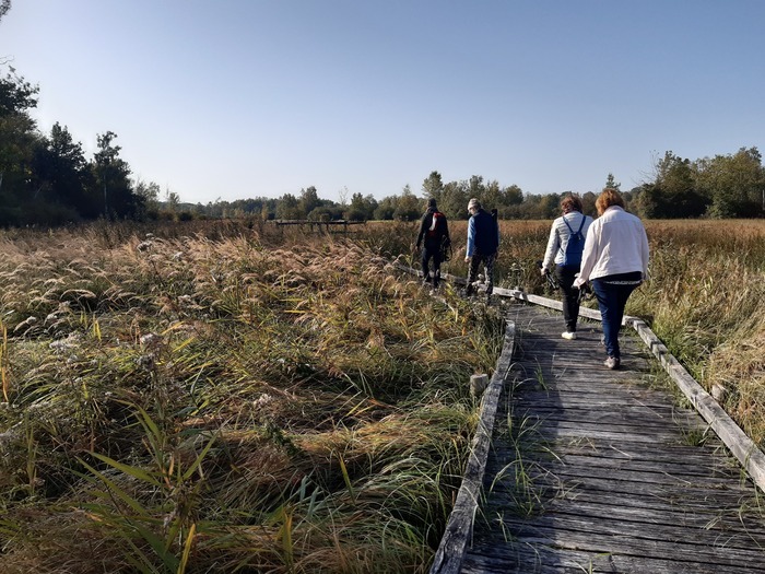 Sortie coorganisée par Île-de-France Nature