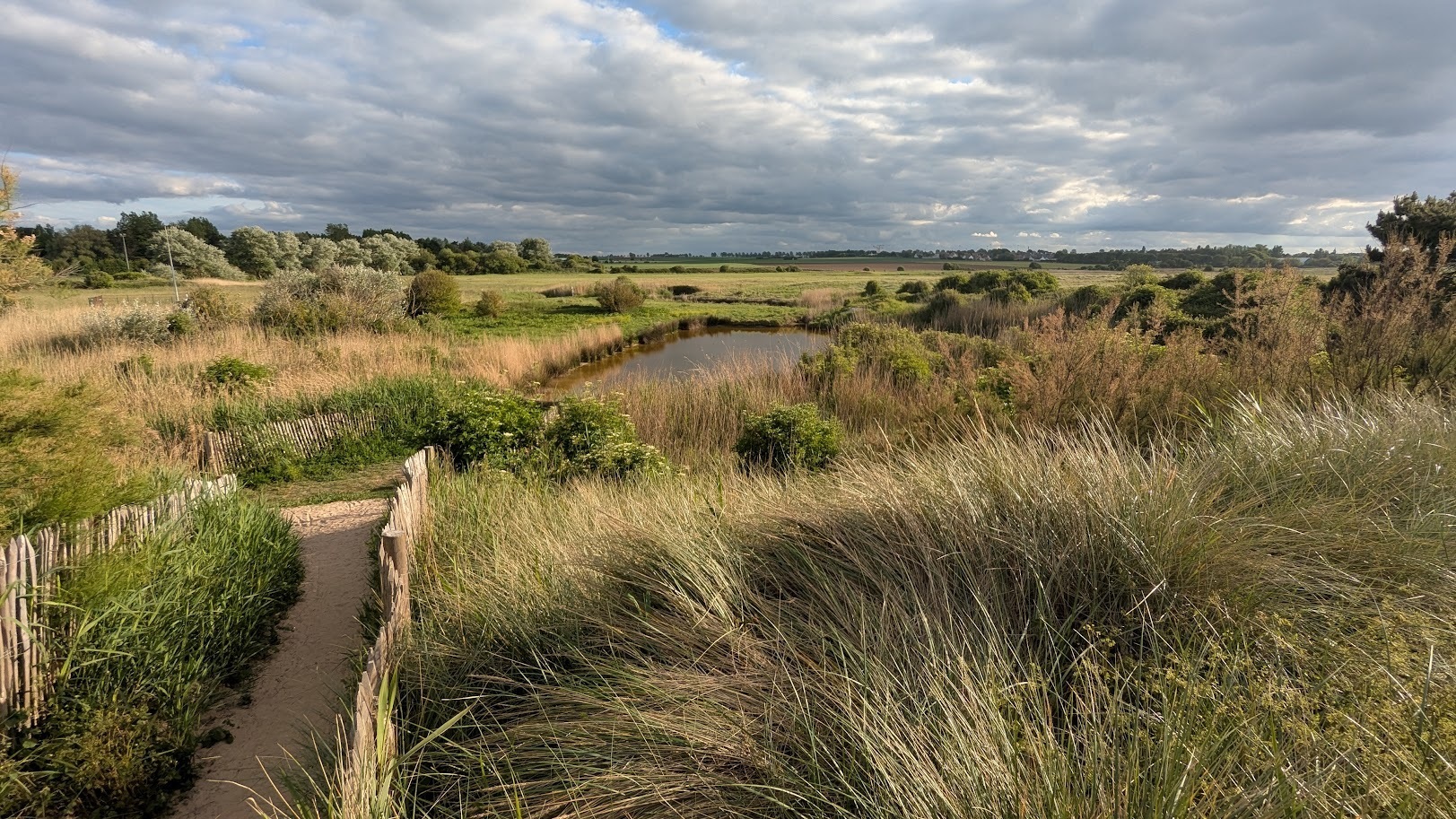 Visite guidée du Marais du Platon