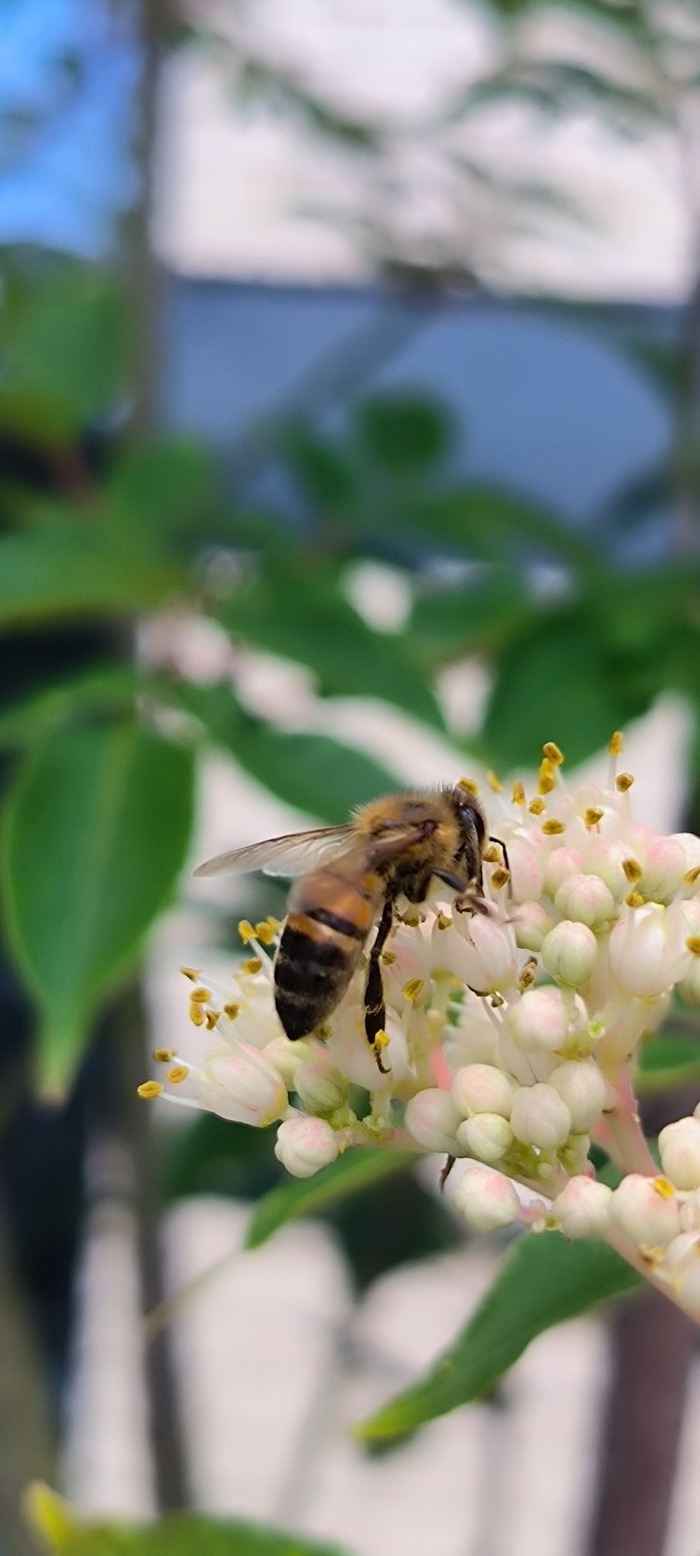 Sortie coorganisée par Île-de-France Nature