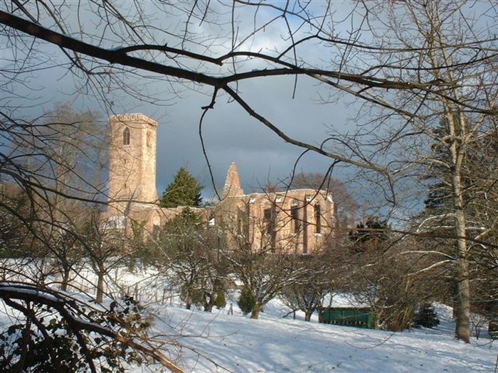 Découverte d'une abbaye