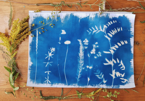 Atelier Cyanotype