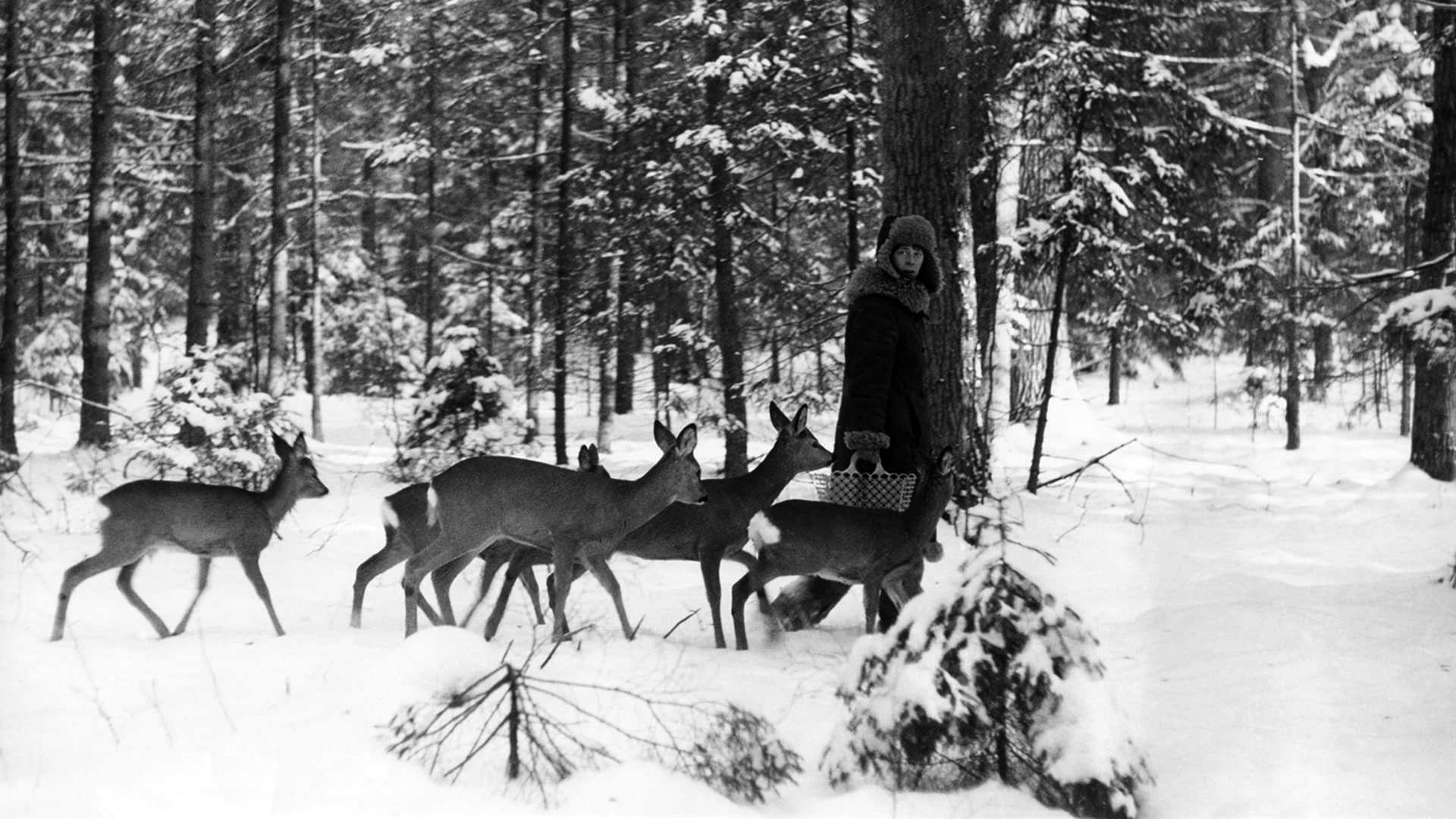 Dispositif EAC “Passeport pour l’art” : La forêt, archive sensible, dans le cadre de l'exposition Bialowieza, la forêt vivante de Lech & Simona