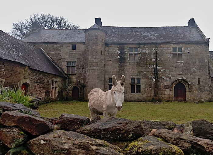 Visite guidée d'un manoir breton du XVe siècle en cours de restauration