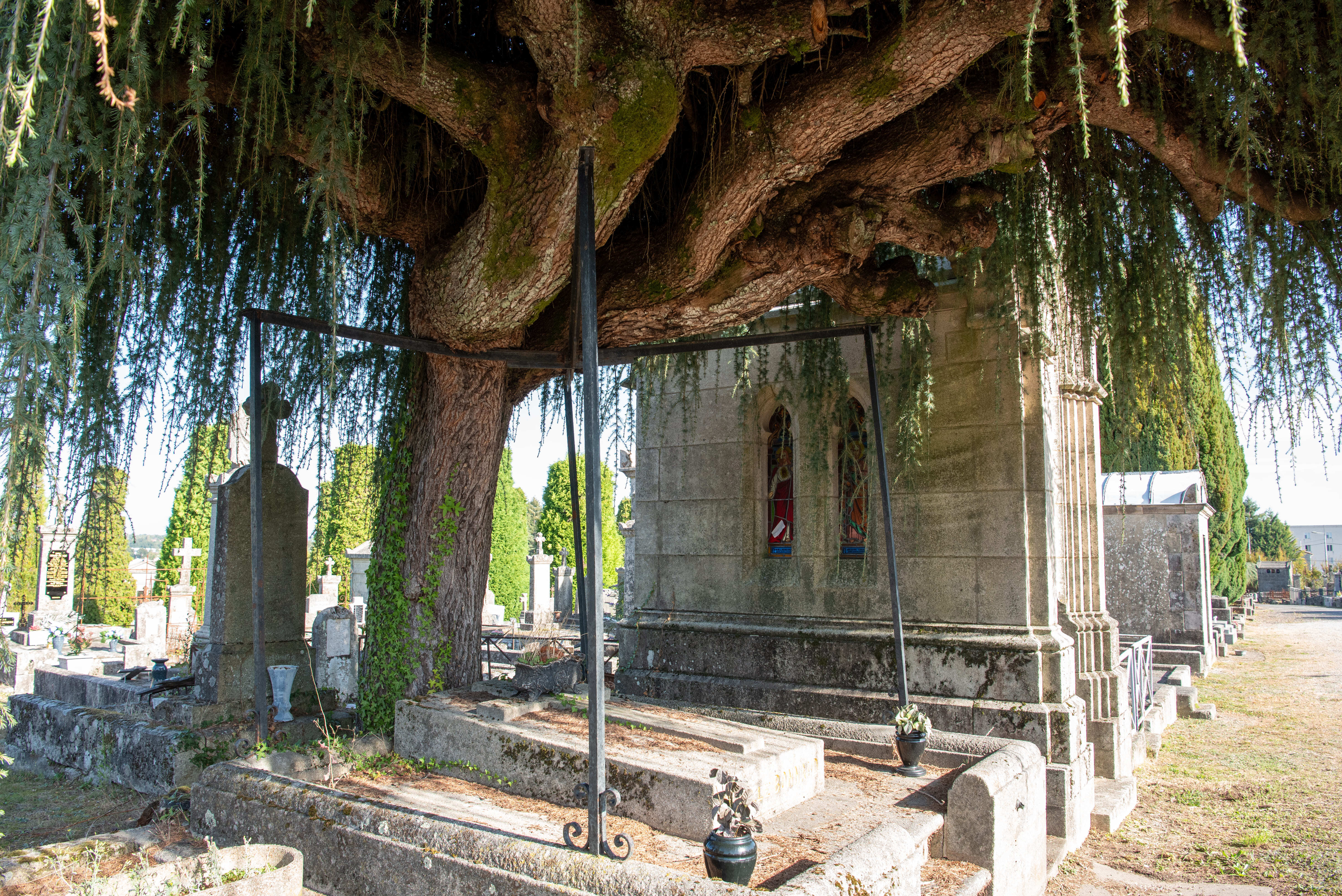 Cimetière de Louyat : Les femmes dans la Résistance