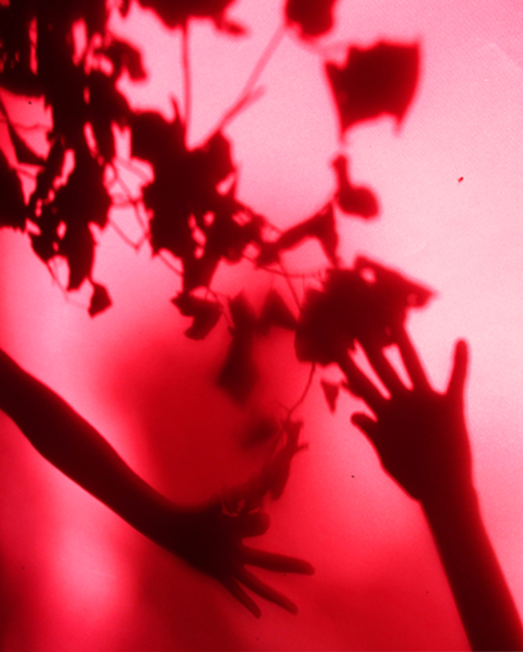 En un clin d'œil autour de l'exposition Réinventer la photographie #2