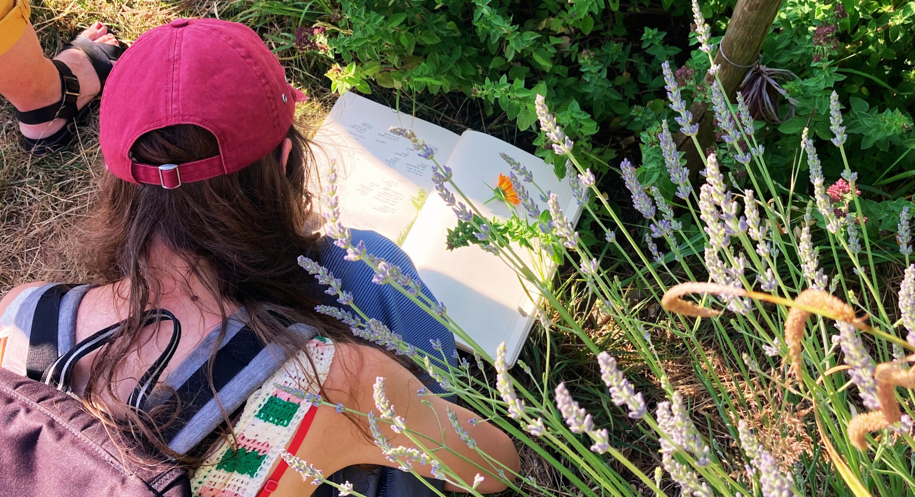 Stage 1 jour : S'initier à la culture des plantes médicinales