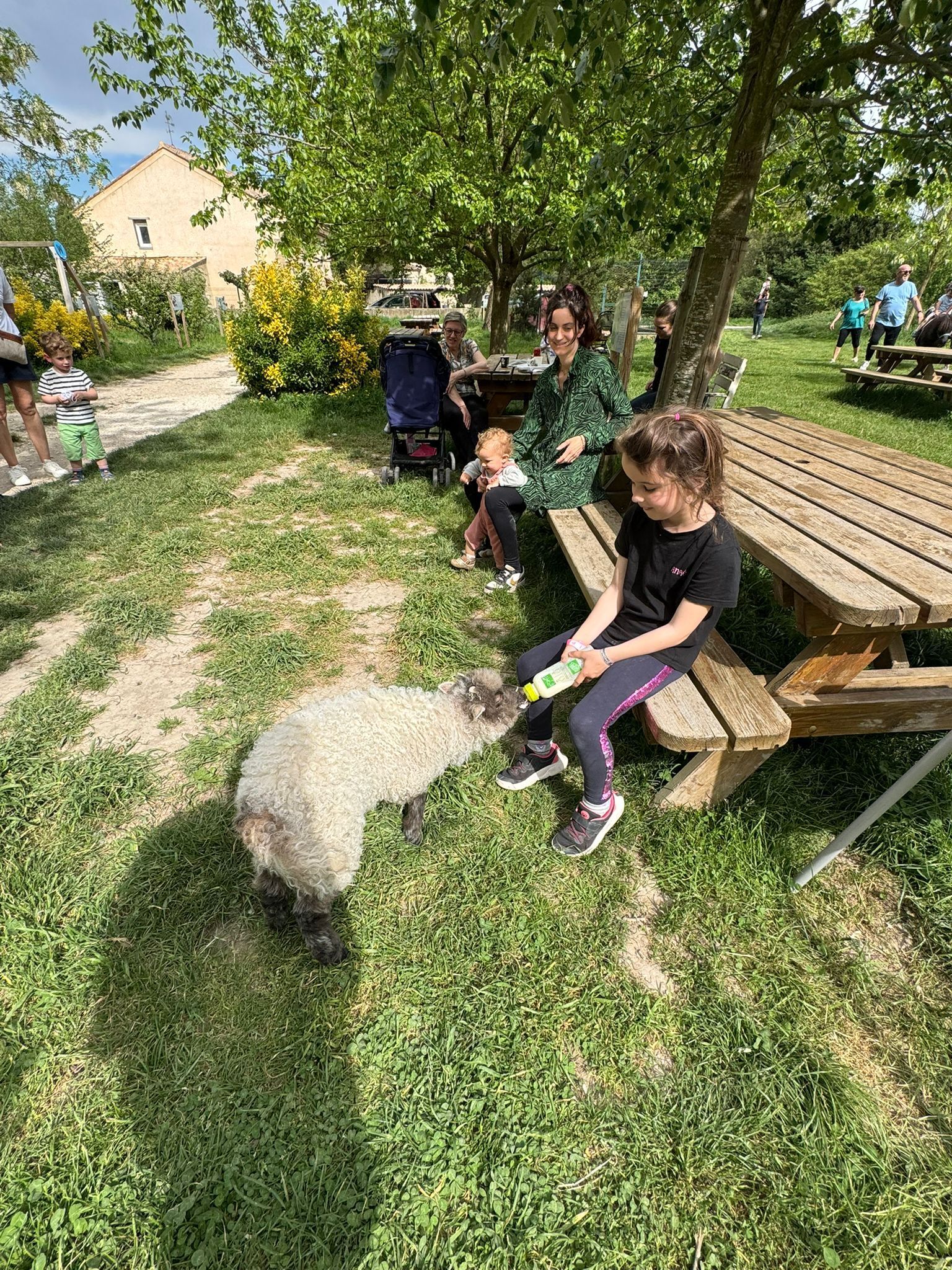 Découverte du mas de la Gallinière : visite de la ferme et atelier fabrication du beurre.