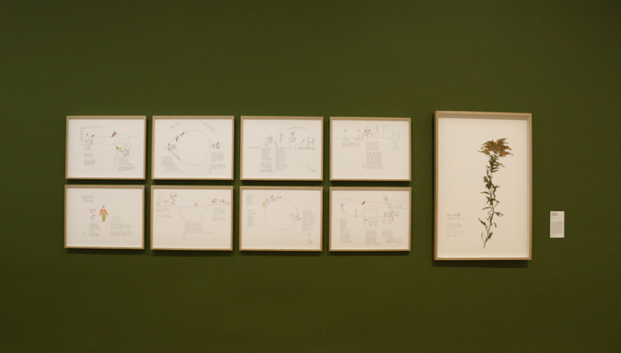 L'œuvre du jour : Plants and People