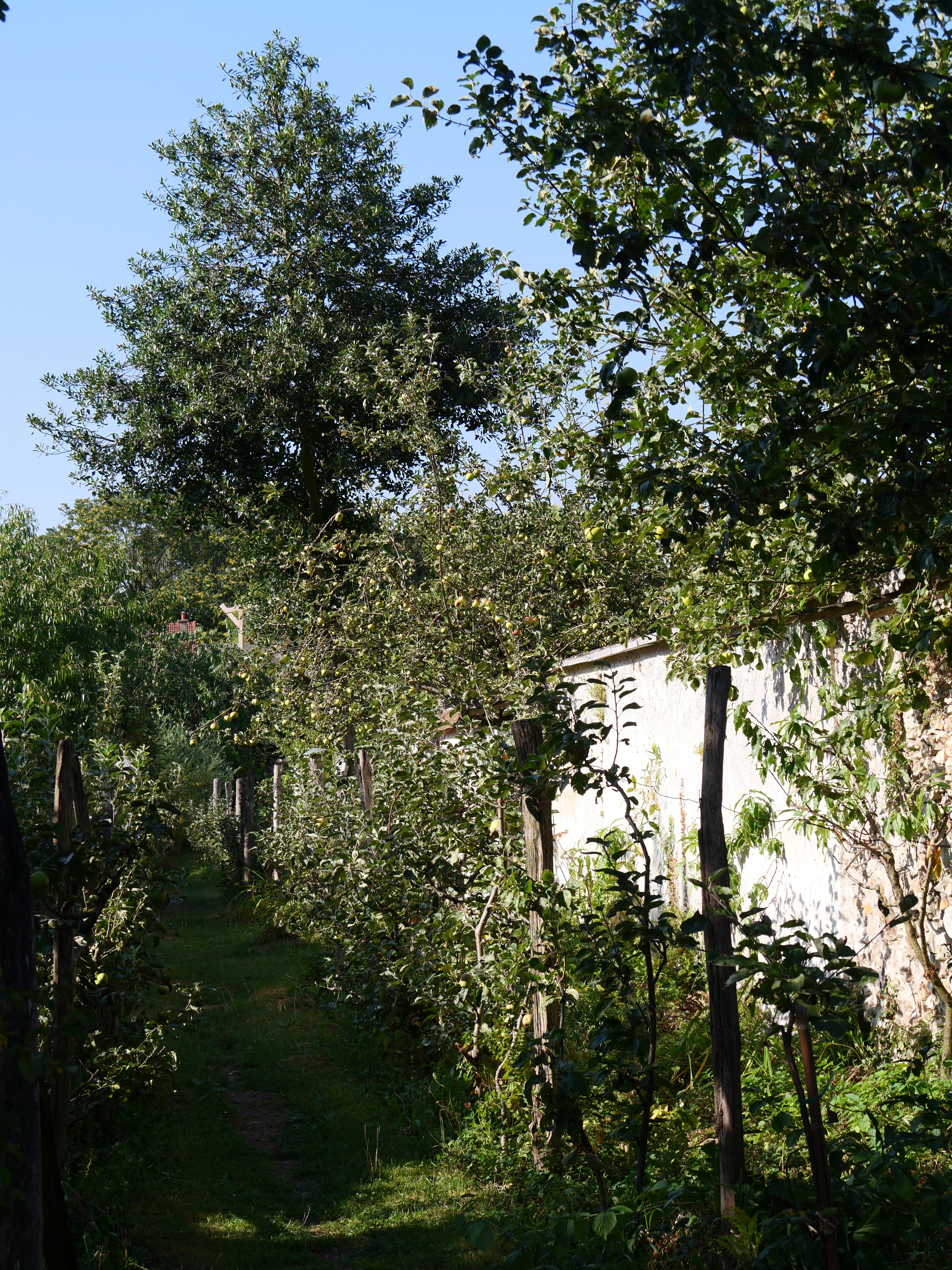 Visite des Jardins des Murs à Pêches