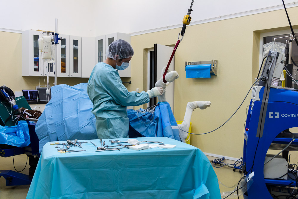 Visite de la clinique vétérinaire de la Côte Fleurie