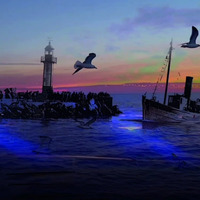 "La solidarité des destins" de Louisa Marajo